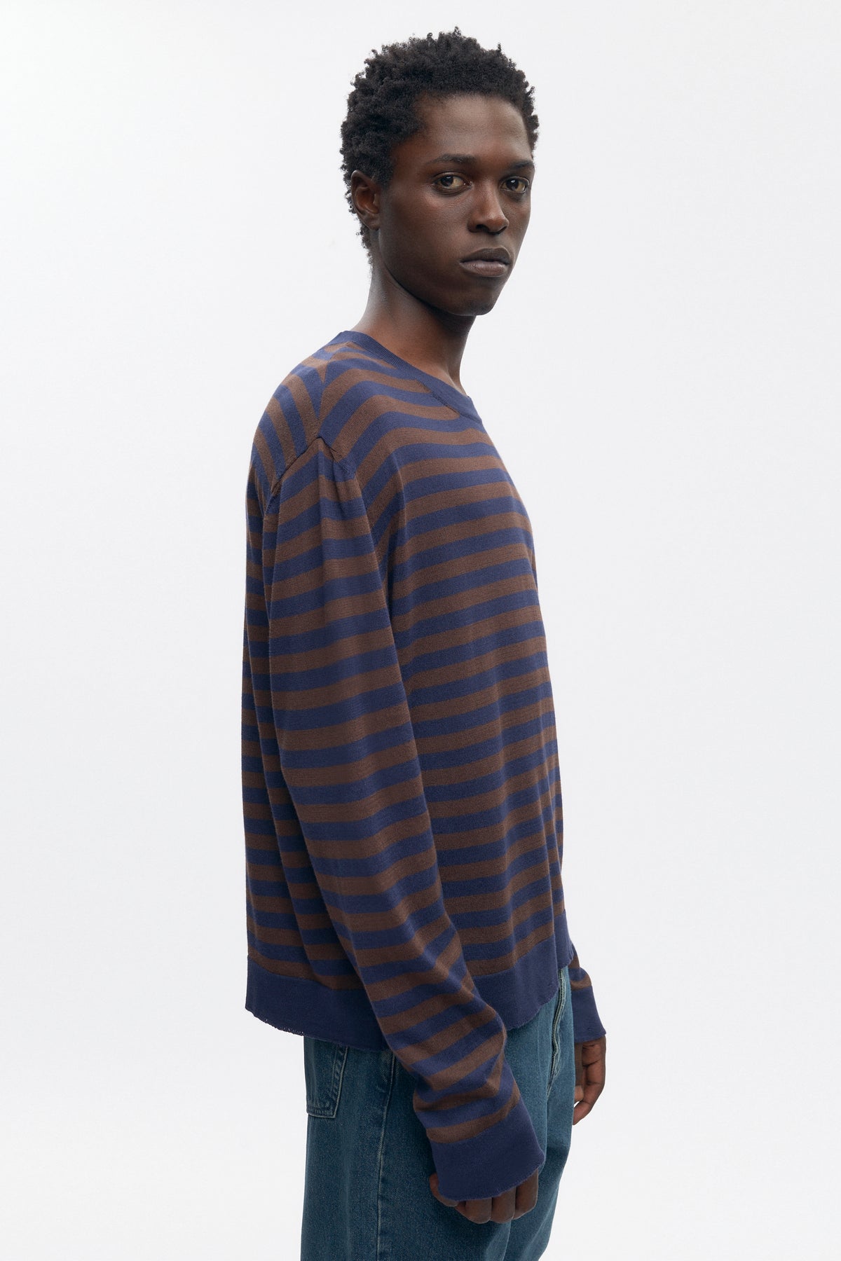 Pull à col rond léger pour homme en coffee Bean/Midnight Stripe
