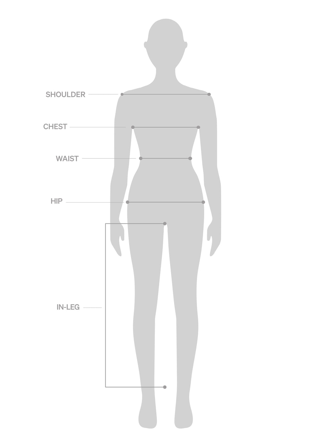 Women's Body Measurements